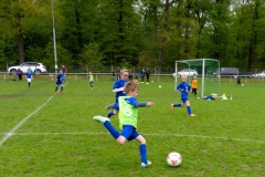 1. Maifeier 2015-009.jpg
